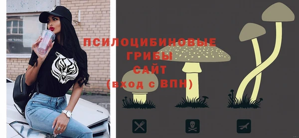 дмт Нефтегорск