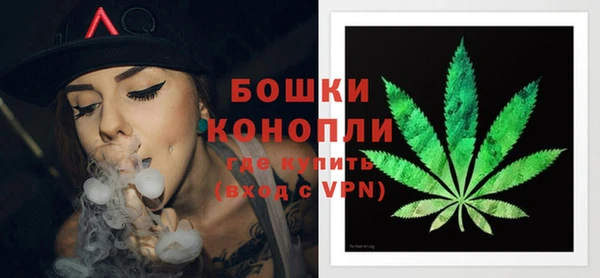 молекула духа Надым