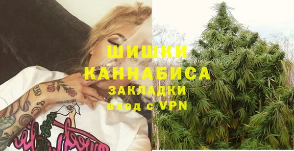 молекула духа Надым