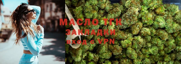 молекула духа Надым