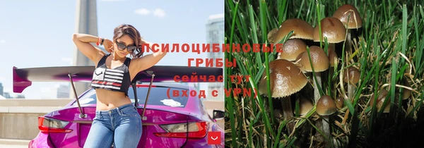 молекула духа Надым