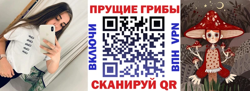 Псилоцибиновые грибы ЛСД  hydra ССЫЛКА  Неман 